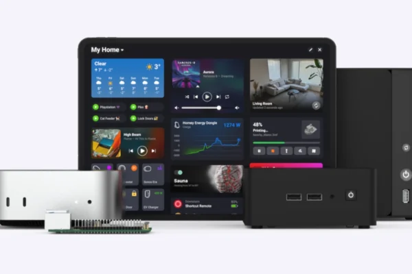 Homey self hosted server