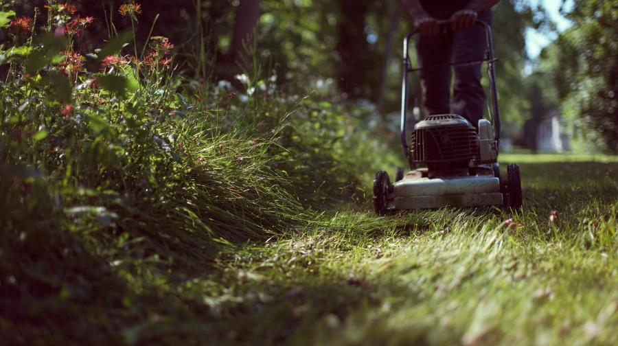 Rasenschnitt liegen lassen - Rasenmäher