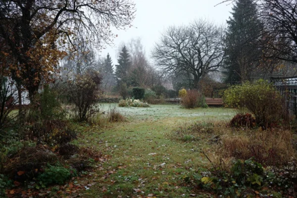 Wann zum ersten Mal Rasen mähen